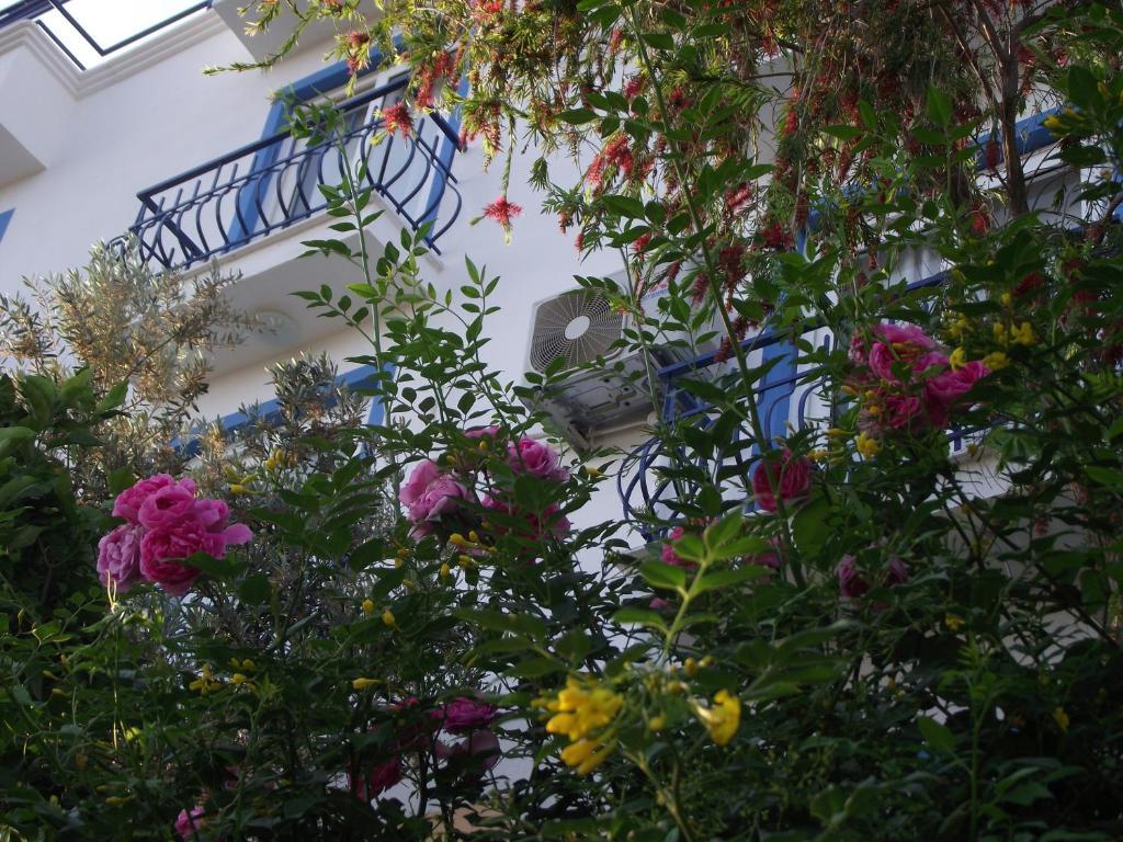 Miramar Pansiyon Kaş Ngoại thất bức ảnh