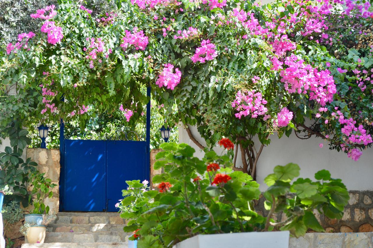 Miramar Pansiyon Kaş Ngoại thất bức ảnh